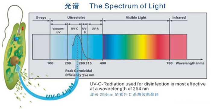 科普！紫外線殺菌燈對人體影響及正確使用方法